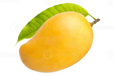 Alphonso Mango (Trial Pack)